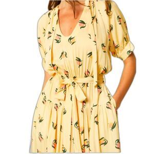 Nwt Compania Fantastica Yellow Peaches Maxi Dress S